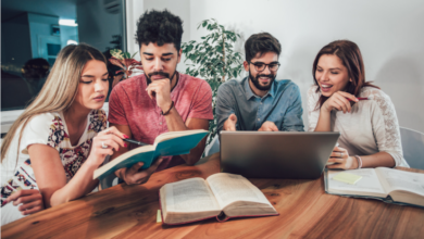 Study Group/ Grupul de studiu